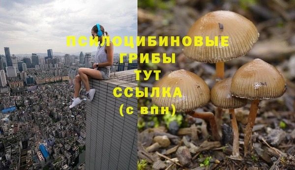 гидропоника Алексеевка