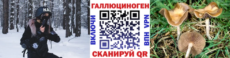 hydra ССЫЛКА  хочу   Глазов  Галлюциногенные грибы Magic Shrooms 